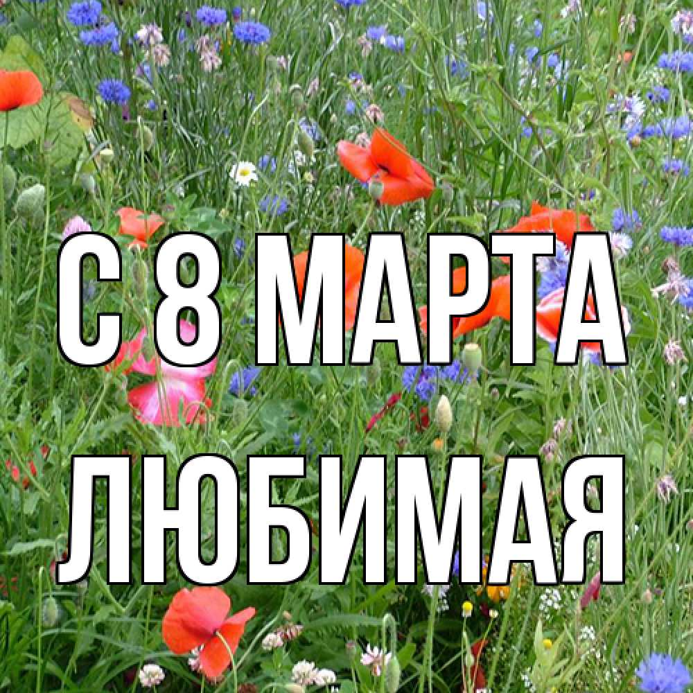 Открытка на каждый день с именем, Любимая C 8 МАРТА международный женский день 4 Прикольная открытка с пожеланием онлайн скачать бесплатно 