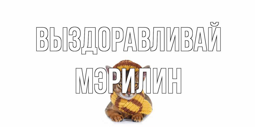 Открытка на каждый день с именем, Мэрилин Выздоравливай родные не болейте Прикольная открытка с пожеланием онлайн скачать бесплатно 