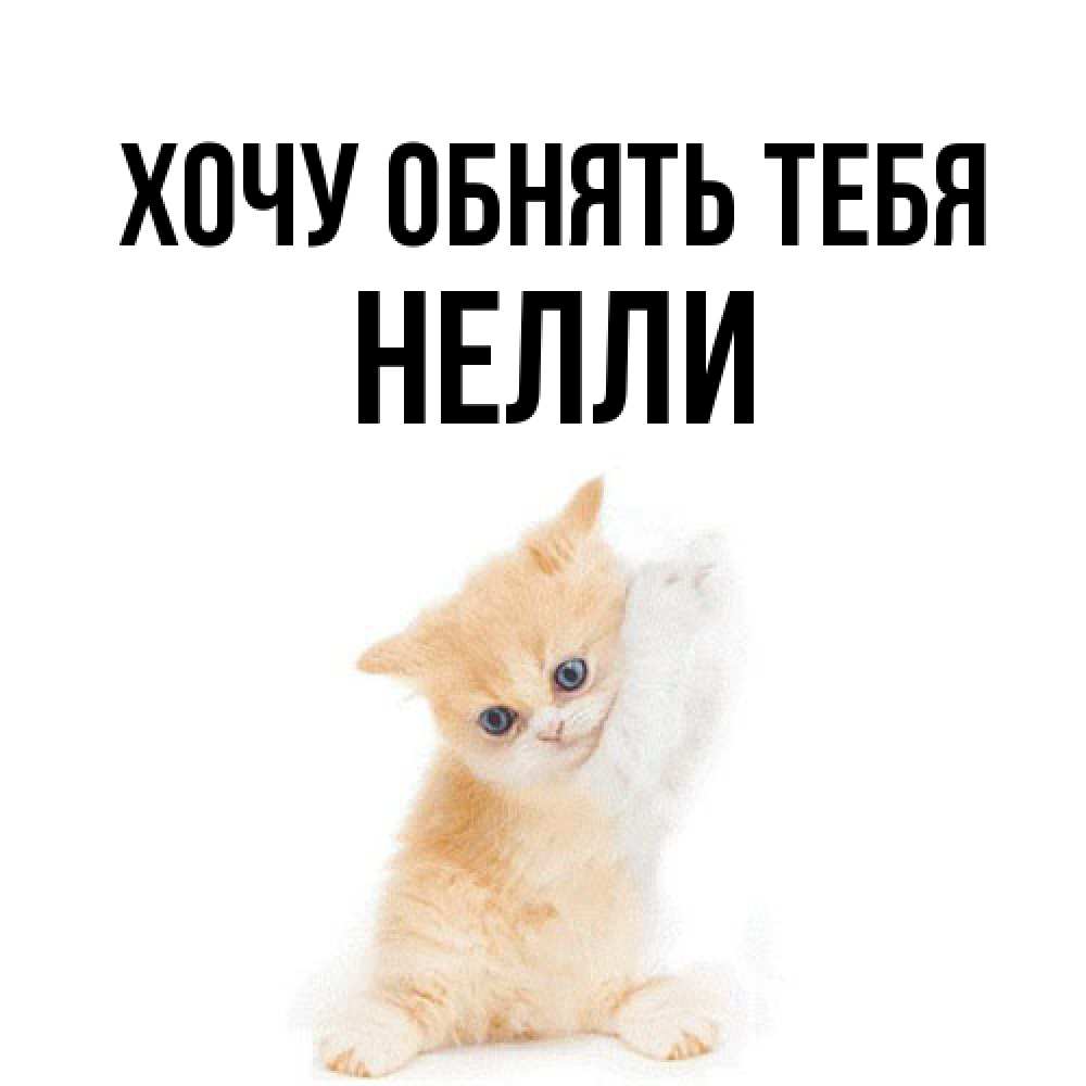 Открытка на каждый день с именем, Нелли Хочу обнять тебя я хочу очень скорее обнимаешек Прикольная открытка с пожеланием онлайн скачать бесплатно 