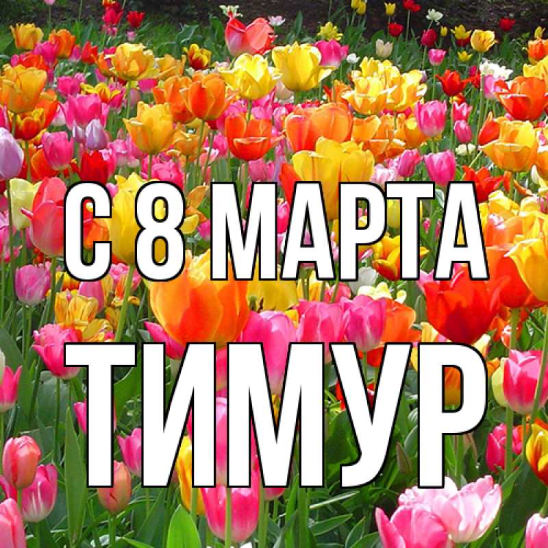 Картинка C 8 МАРТА, Тимур