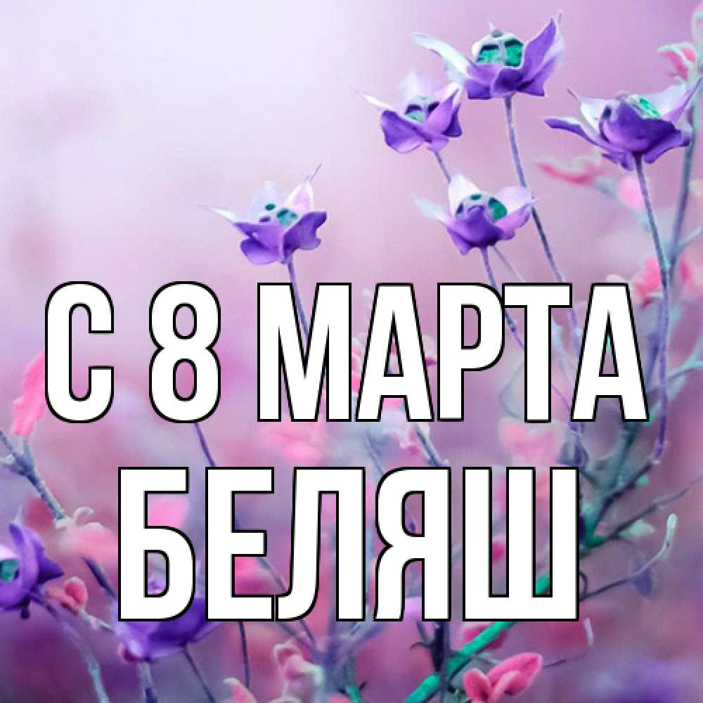 Открытка на каждый день с именем, Беляш C 8 МАРТА международный женский день 2 Прикольная открытка с пожеланием онлайн скачать бесплатно 