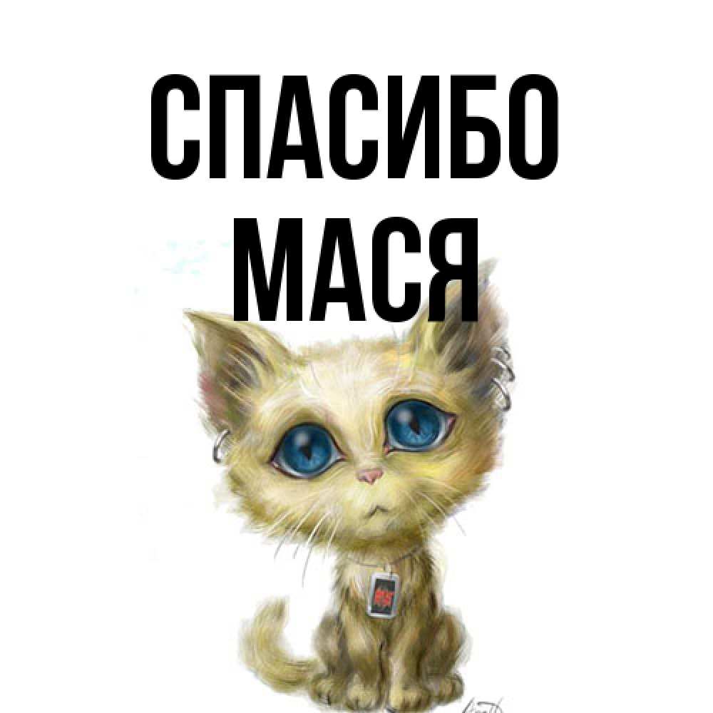 Открытка на каждый день с именем, Мася Спасибо рисованный кот благодарит вас Прикольная открытка с пожеланием онлайн скачать бесплатно 