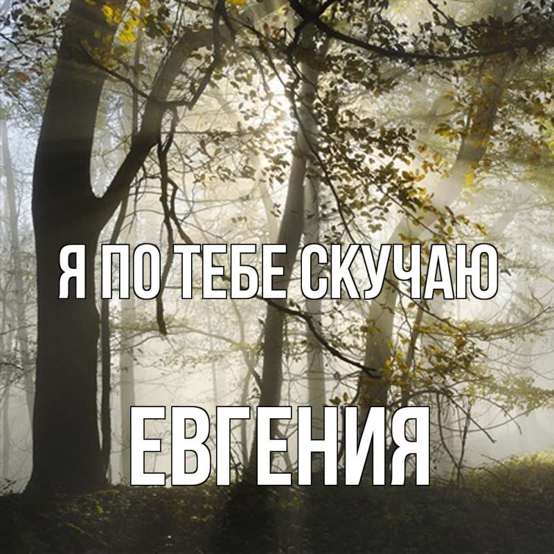 Картинка Я по тебе скучаю, Евгения