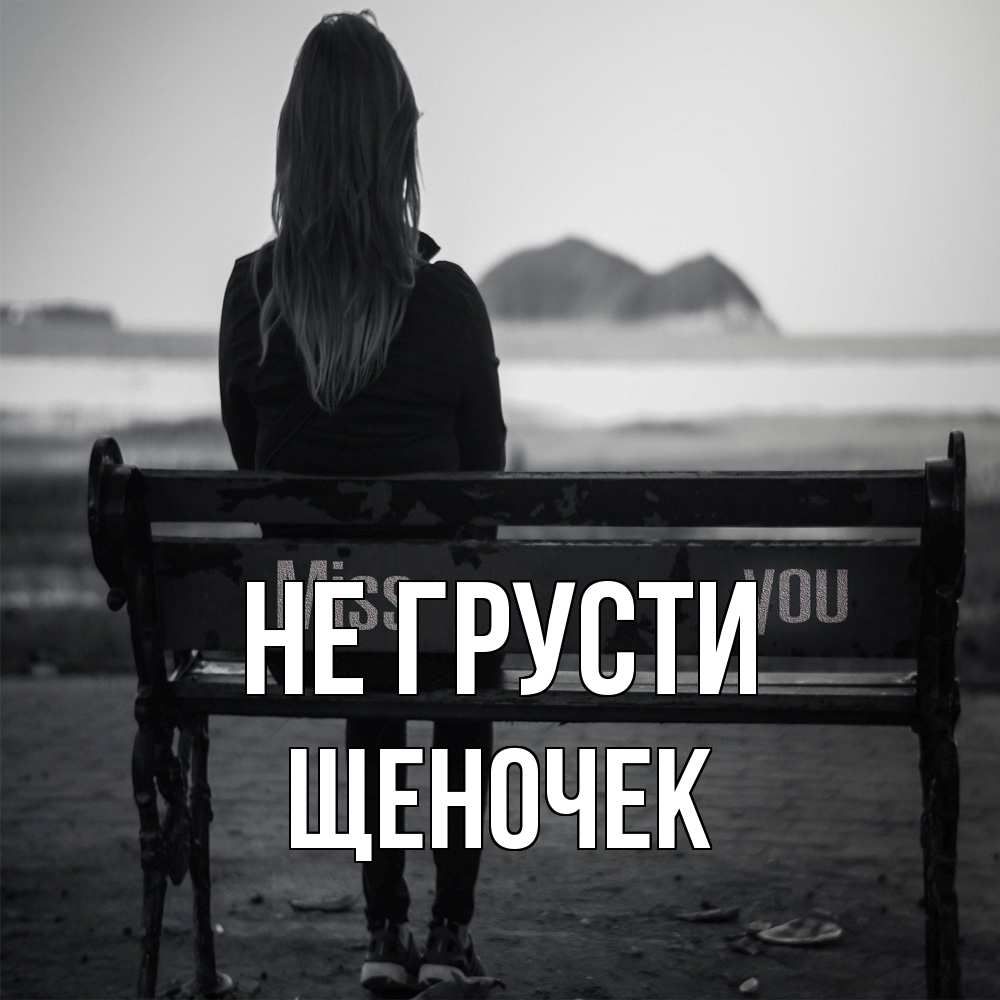 Открытка на каждый день с именем, Щеночек Не грусти смотрит на скалы Прикольная открытка с пожеланием онлайн скачать бесплатно 