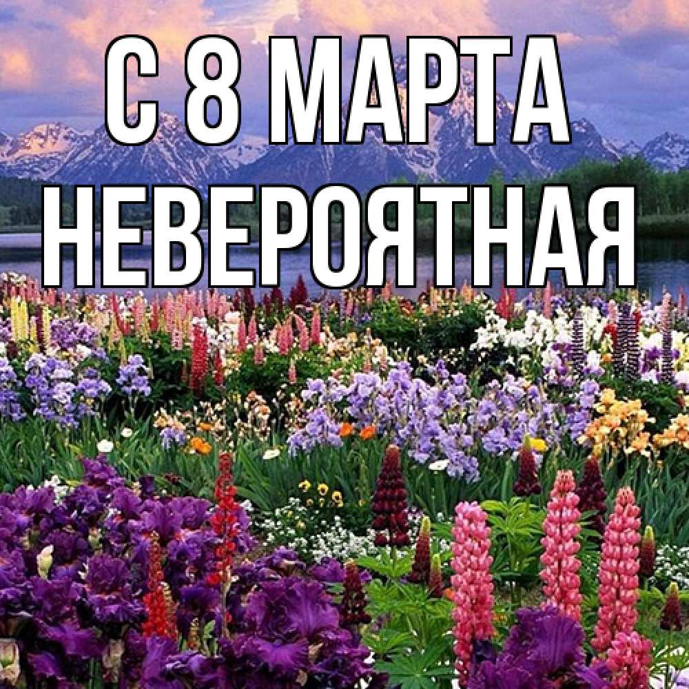 Открытка на каждый день с именем, невероятная C 8 МАРТА международный женский день Прикольная открытка с пожеланием онлайн скачать бесплатно 