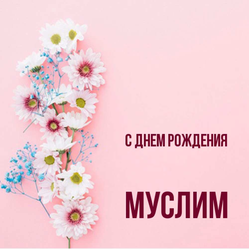 Открытка на каждый день с именем, Муслим С днем рождения Родная моя с днем рождения тебя картинка с цветами белыми и голубыми Прикольная открытка с пожеланием онлайн скачать бесплатно 