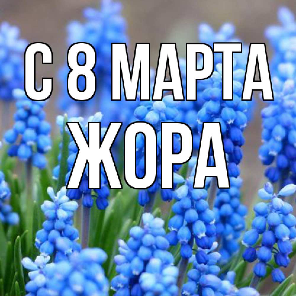 Открытка на каждый день с именем, Жора C 8 МАРТА Поздравительная открытка для женщин с цветами на праздничную дату Прикольная открытка с пожеланием онлайн скачать бесплатно 