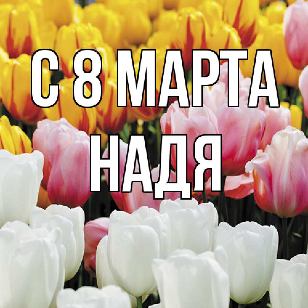 Открытка на каждый день с именем, Надя C 8 МАРТА разноцветные цветы Прикольная открытка с пожеланием онлайн скачать бесплатно 