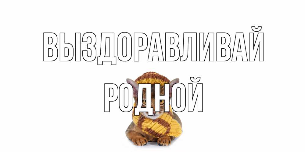 Открытка на каждый день с именем, Родной Выздоравливай родные не болейте Прикольная открытка с пожеланием онлайн скачать бесплатно 
