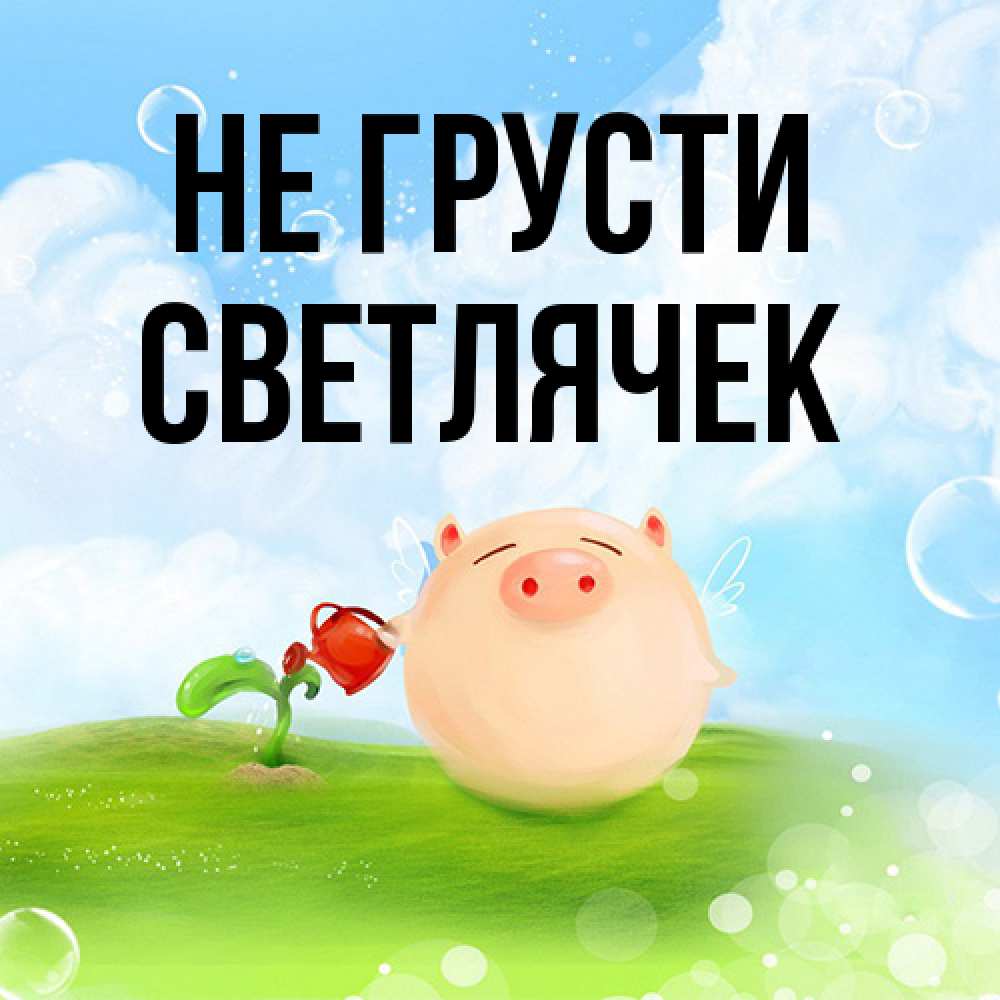 Открытка на каждый день с именем, Светлячек Не грусти поливает цветок порося Прикольная открытка с пожеланием онлайн скачать бесплатно 