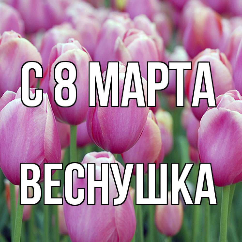Открытка на каждый день с именем, веснушка C 8 МАРТА на международный женский день 3 Прикольная открытка с пожеланием онлайн скачать бесплатно 