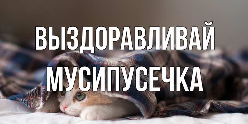 Картинка Выздоравливай, Мусипусечка