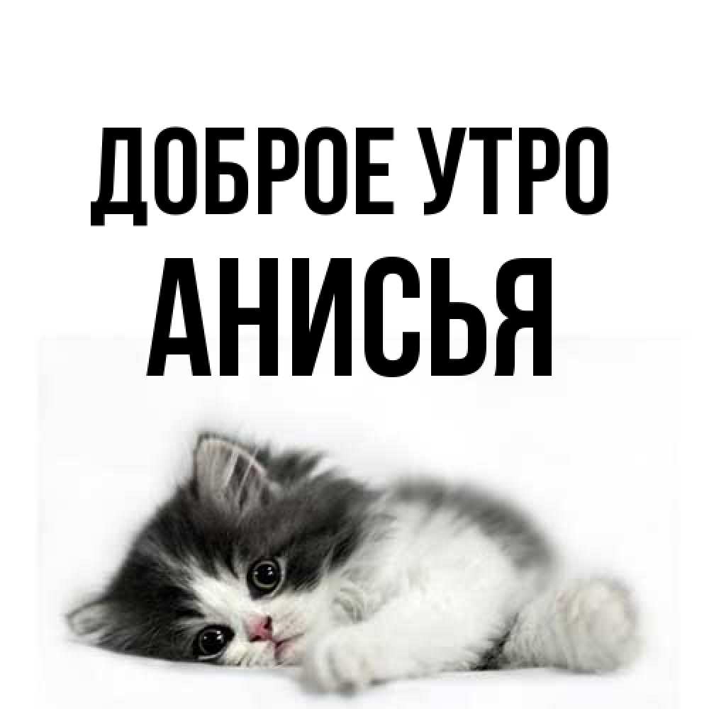 Открытка на каждый день с именем, Анисья Доброе утро кот лапки Прикольная открытка с пожеланием онлайн скачать бесплатно 