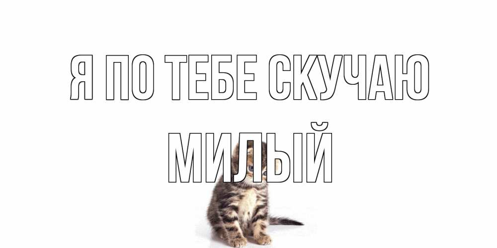 Открытка на каждый день с именем, Милый Я по тебе скучаю кот Прикольная открытка с пожеланием онлайн скачать бесплатно 