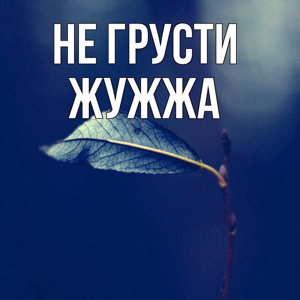 Открытка на каждый день с именем, Жужжа Не грусти растение Прикольная открытка с пожеланием онлайн скачать бесплатно 