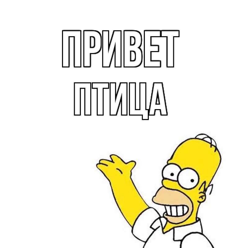 Картинка Привет, Птица