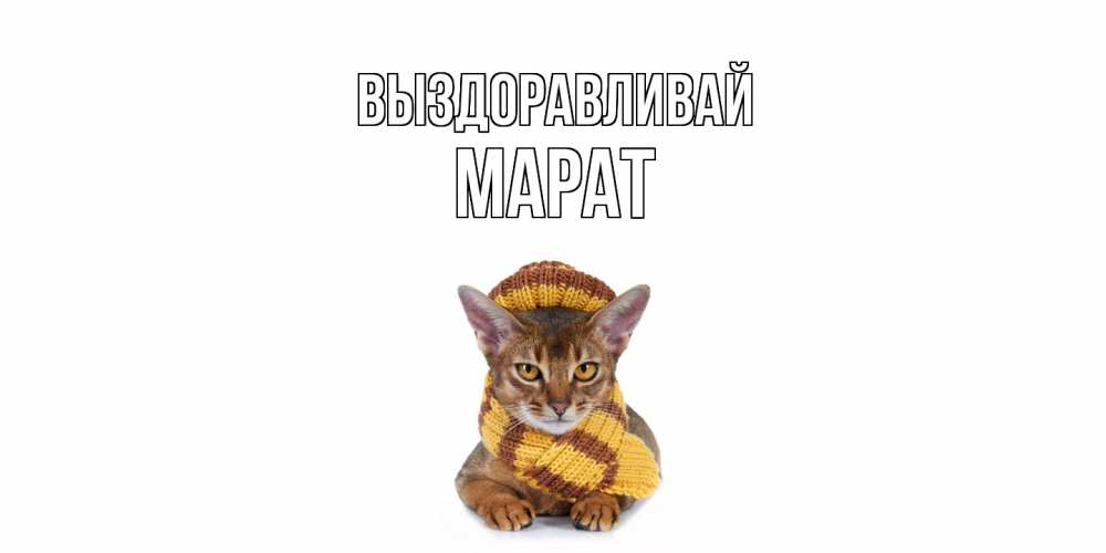 Открытка на каждый день с именем, Марат Выздоравливай родные не болейте Прикольная открытка с пожеланием онлайн скачать бесплатно 