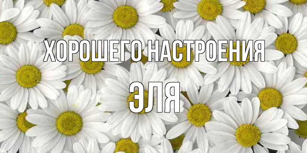 Открытка на каждый день с именем, Эля Хорошего настроения поляна ромашек Прикольная открытка с пожеланием онлайн скачать бесплатно 