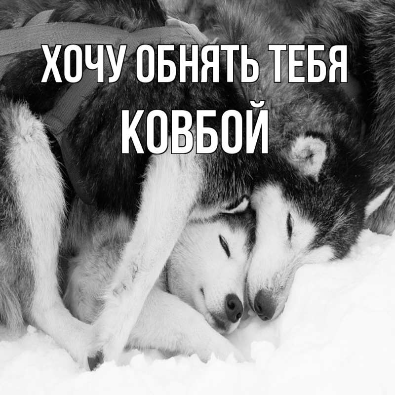 Картинка Хочу обнять тебя, Ковбой