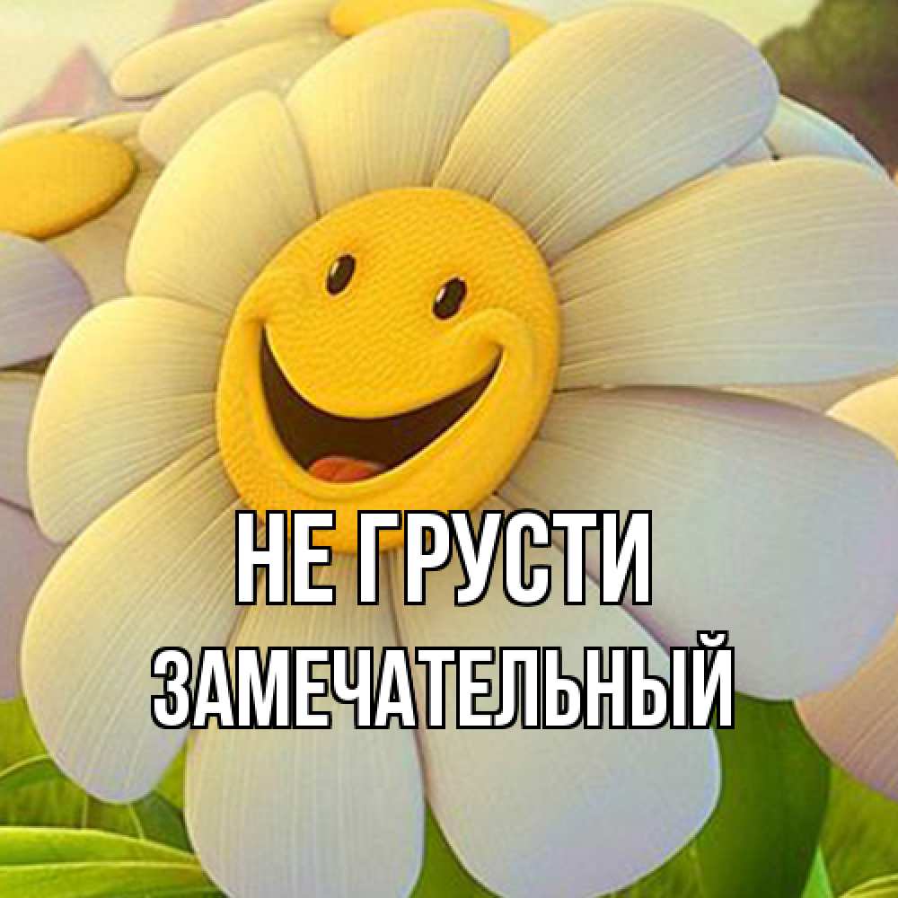 Открытка на каждый день с именем, Замечательный Не грусти огромная улыбающаяся ромашуща Прикольная открытка с пожеланием онлайн скачать бесплатно 
