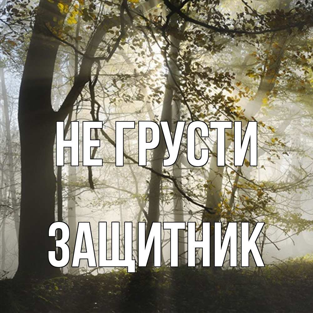 Открытка на каждый день с именем, Защитник Не грусти лес и свет Прикольная открытка с пожеланием онлайн скачать бесплатно 