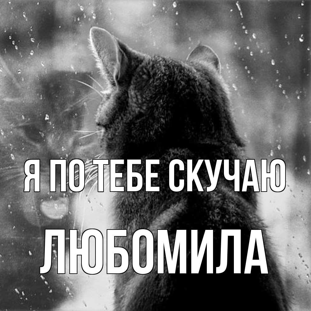 Открытка на каждый день с именем, Любомила Я по тебе скучаю скорее ко мне приходи 1 Прикольная открытка с пожеланием онлайн скачать бесплатно 