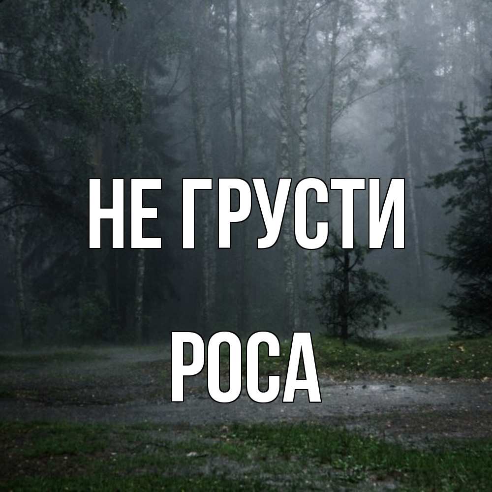Открытка на каждый день с именем, Роса Не грусти осень Прикольная открытка с пожеланием онлайн скачать бесплатно 