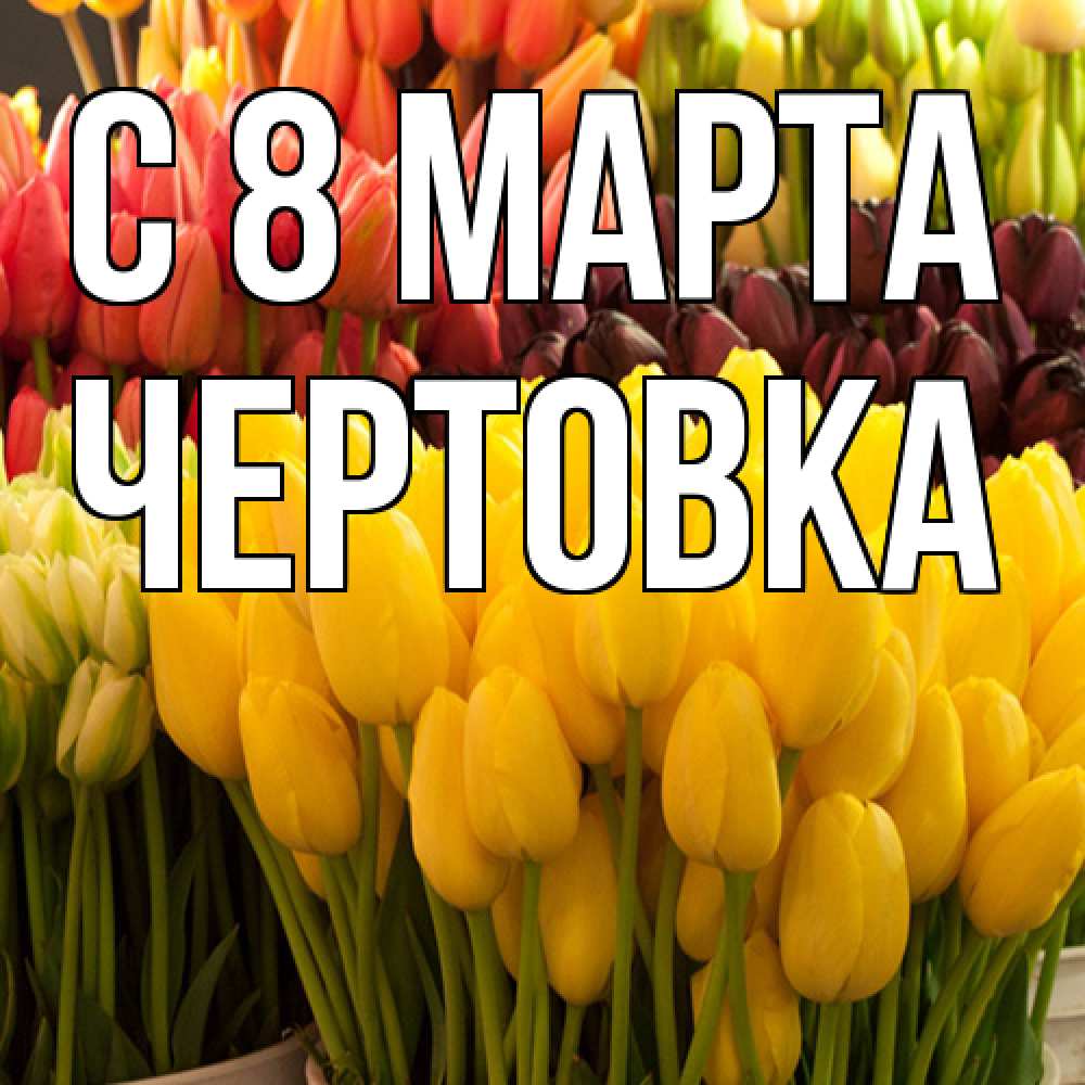 Открытка на каждый день с именем, Чертовка C 8 МАРТА цветы Прикольная открытка с пожеланием онлайн скачать бесплатно 