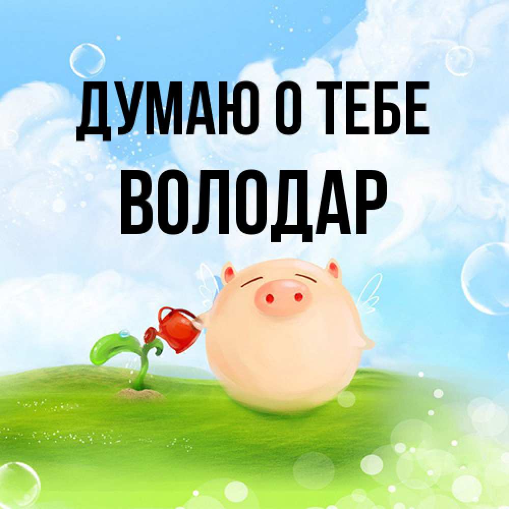 Открытка на каждый день с именем, Володар Думаю о тебе позитивная свинюшка Прикольная открытка с пожеланием онлайн скачать бесплатно 