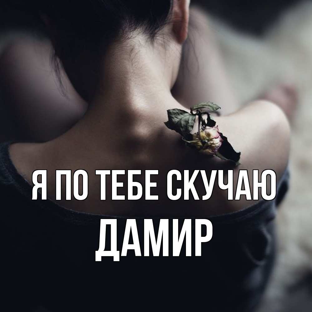 Открытка на каждый день с именем, Дамир Я по тебе скучаю засох цветок Прикольная открытка с пожеланием онлайн скачать бесплатно 