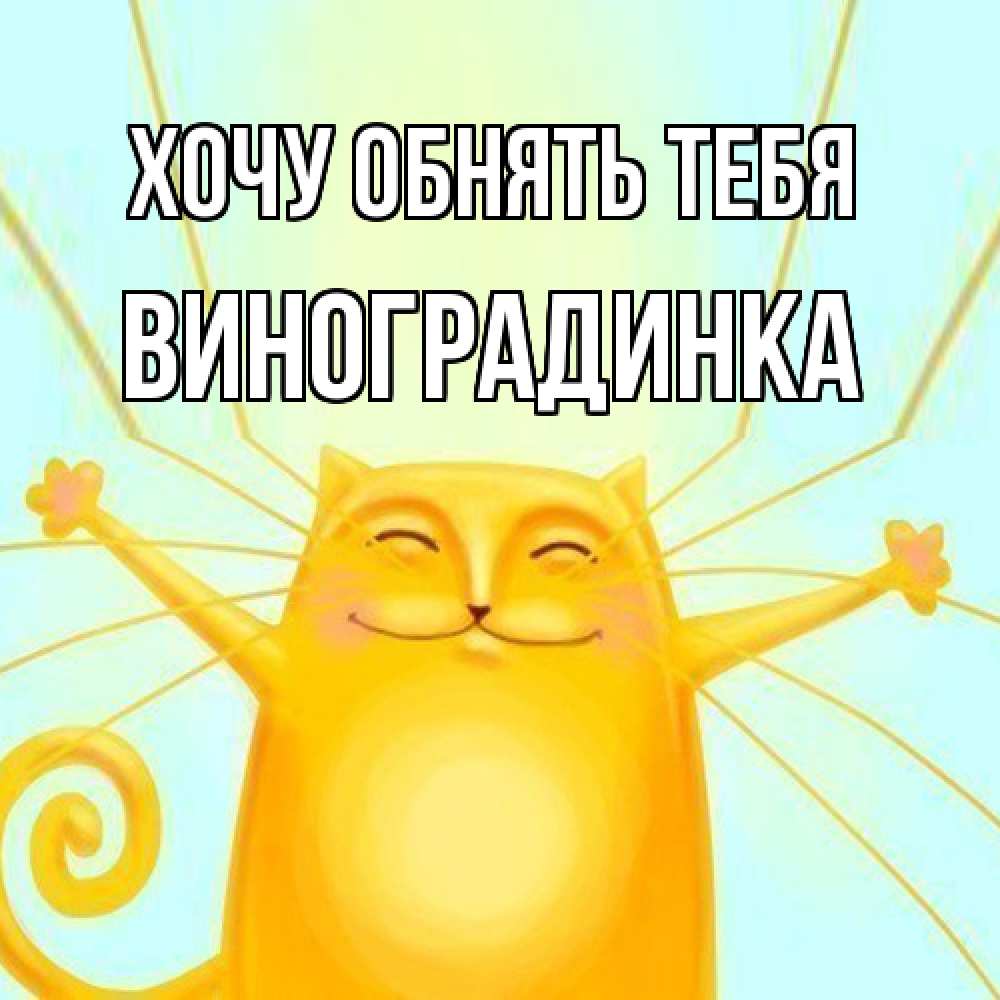 Открытка на каждый день с именем, виноградинка Хочу обнять тебя солнечный обнимашечный кот Прикольная открытка с пожеланием онлайн скачать бесплатно 