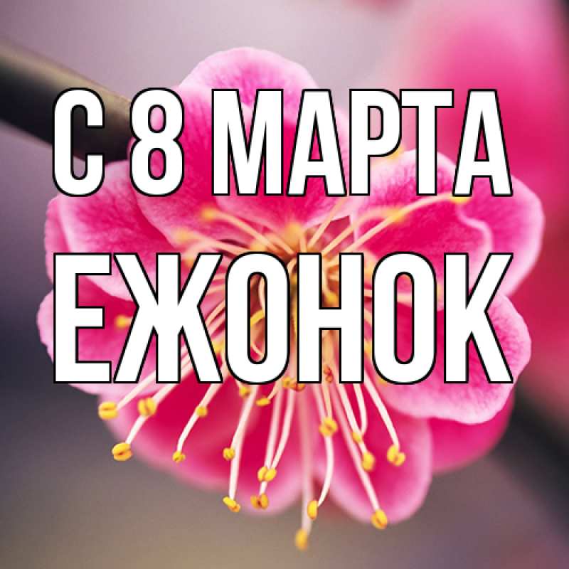 Картинка C 8 МАРТА, Ежонок