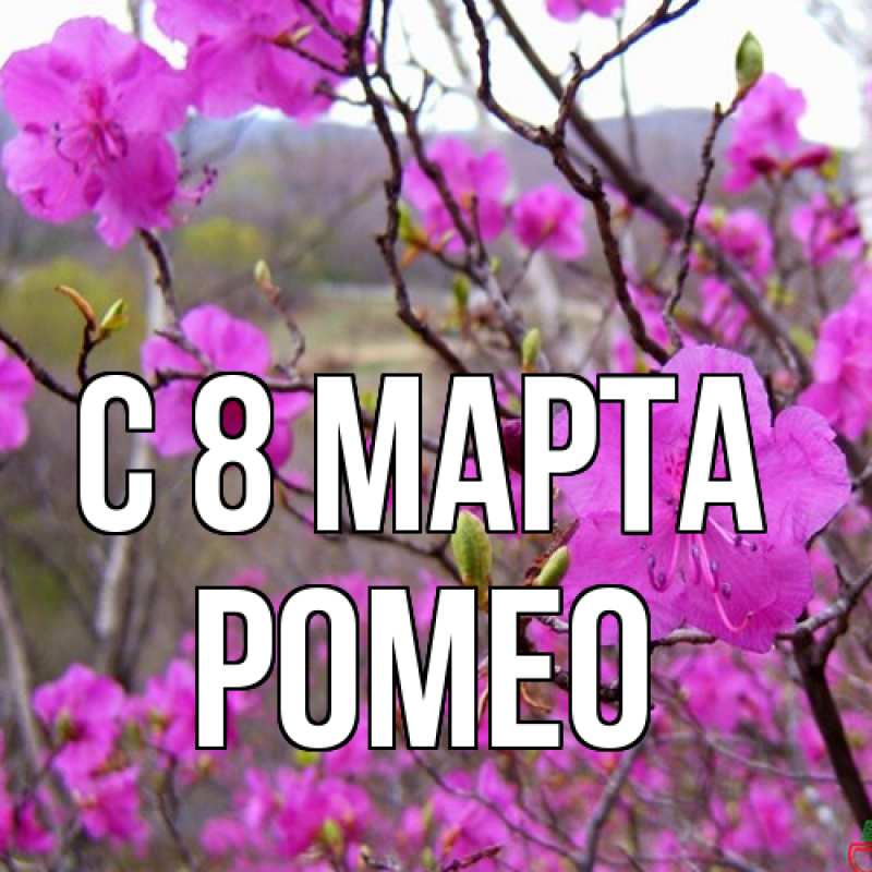 Картинка C 8 МАРТА, Ромео