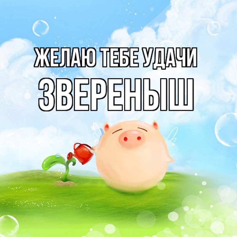 Картинка Желаю тебе удачи, звеpеныш