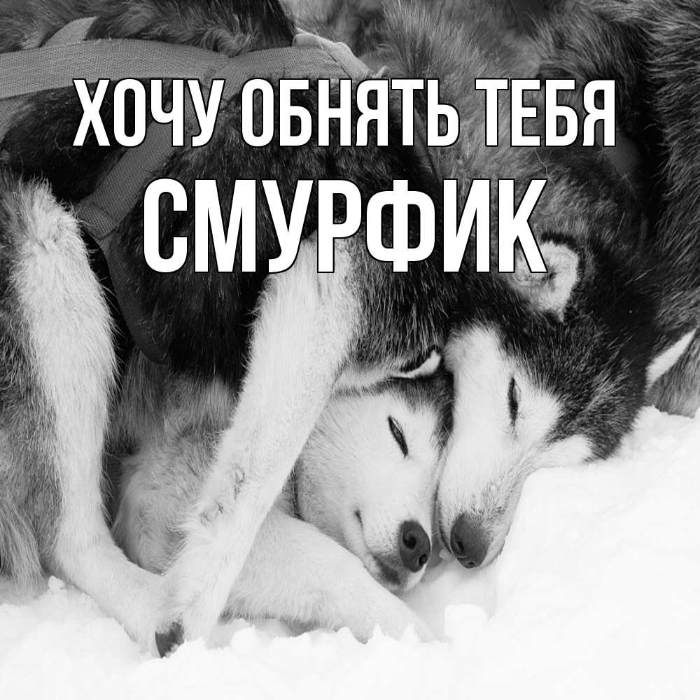 Открытка на каждый день с именем, Смурфик Хочу обнять тебя собачки в упряжке Прикольная открытка с пожеланием онлайн скачать бесплатно 