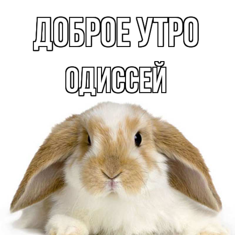 Картинка Доброе утро, Одиссей