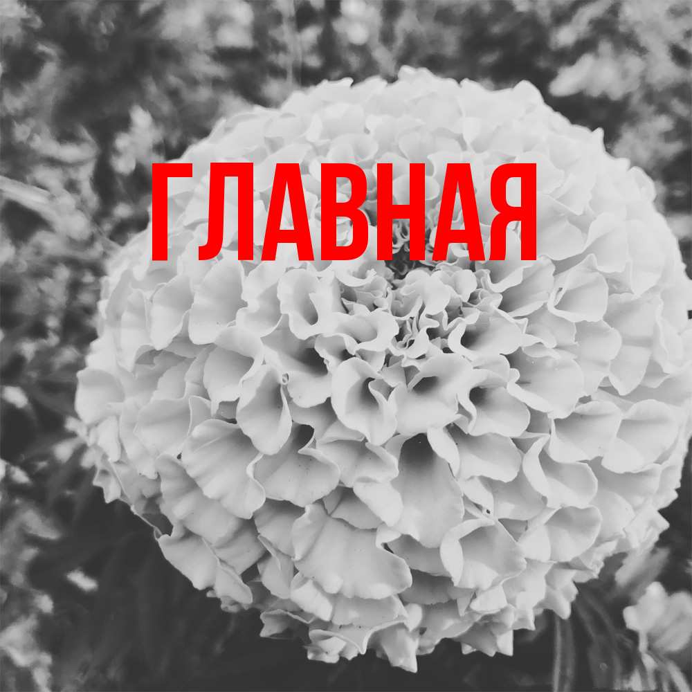 Открытка на каждый день с именем, Анна Главная подпись Прикольная открытка с пожеланием онлайн скачать бесплатно 