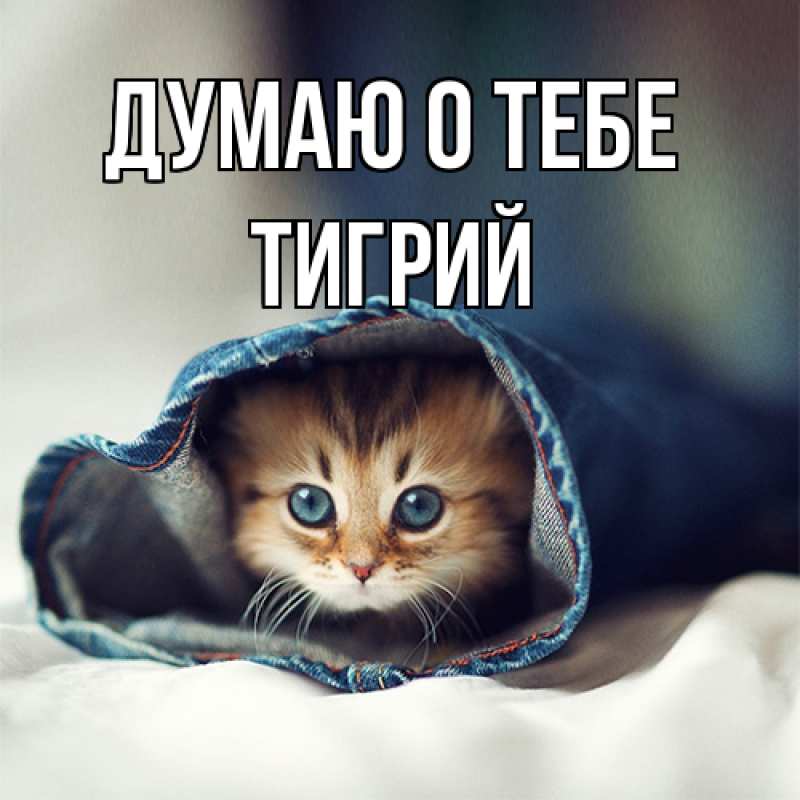 Картинка Думаю о тебе, Тигрий