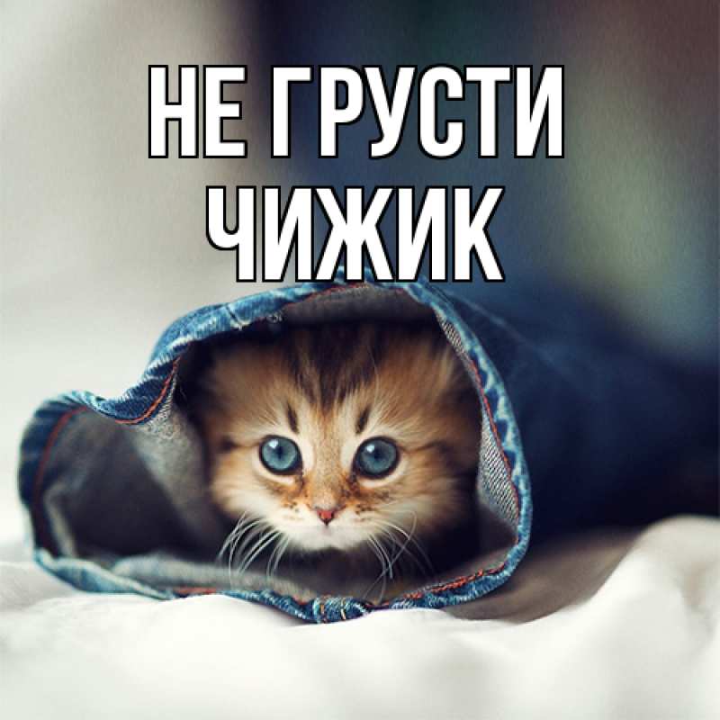 Картинка Не грусти, Чижик