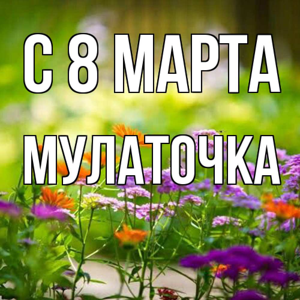 Открытка на каждый день с именем, Мулаточка C 8 МАРТА цветы Прикольная открытка с пожеланием онлайн скачать бесплатно 