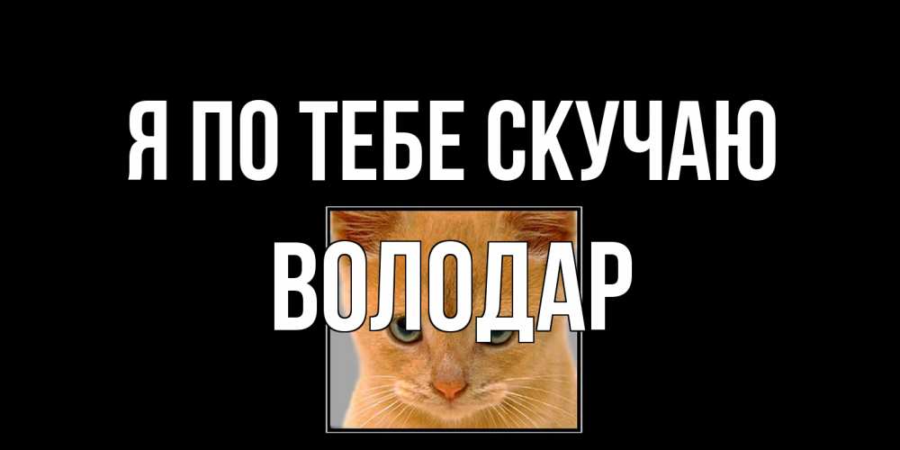 Открытка на каждый день с именем, Володар Я по тебе скучаю открытки рыжий котенок скучает по тебе Прикольная открытка с пожеланием онлайн скачать бесплатно 