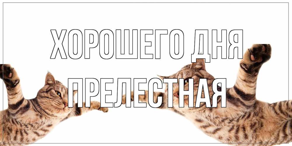 Открытка на каждый день с именем, Прелестная Хорошего дня хорошего дня Прикольная открытка с пожеланием онлайн скачать бесплатно 