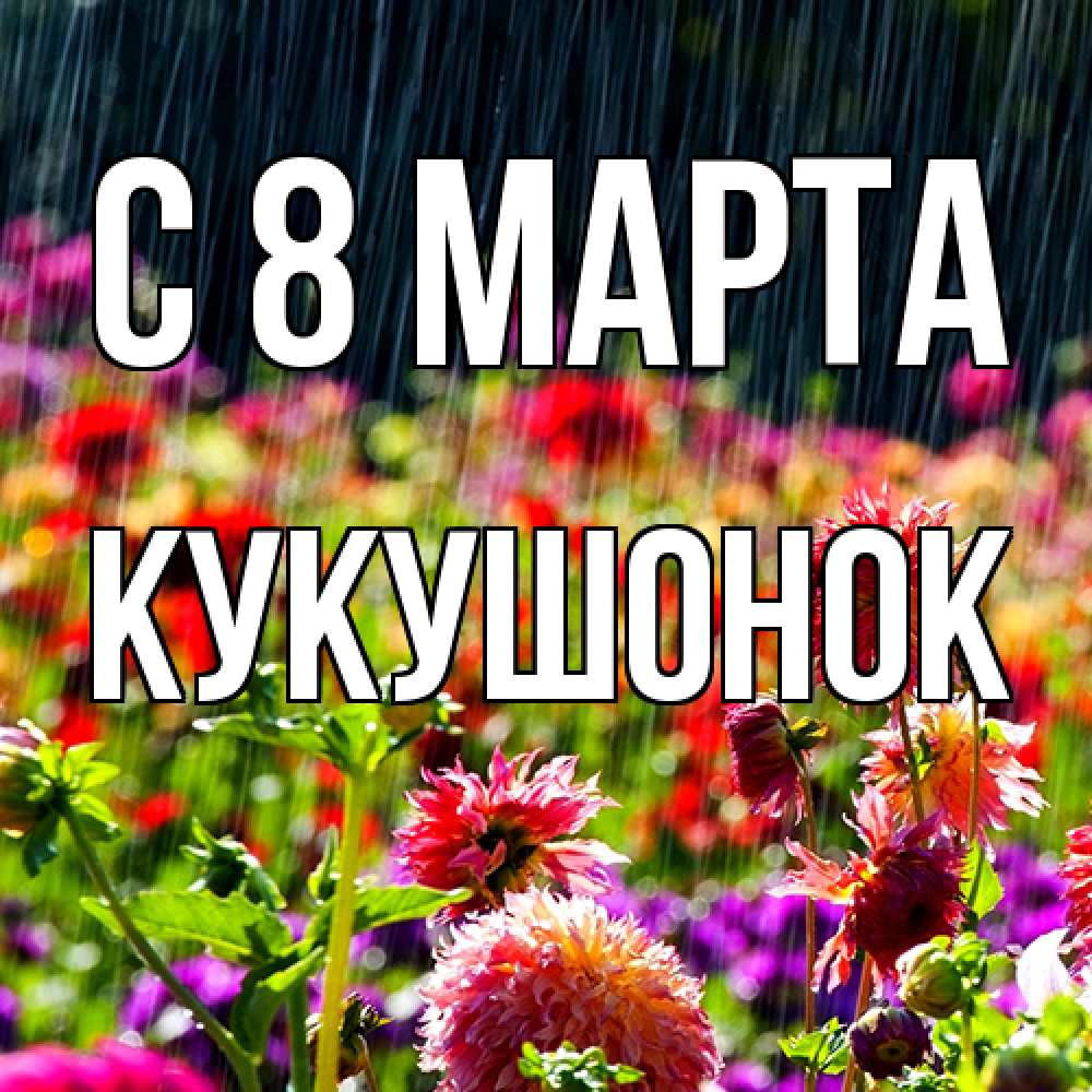 Открытка на каждый день с именем, кукушонок C 8 МАРТА цветы под дождиком к международному женскому дню Прикольная открытка с пожеланием онлайн скачать бесплатно 