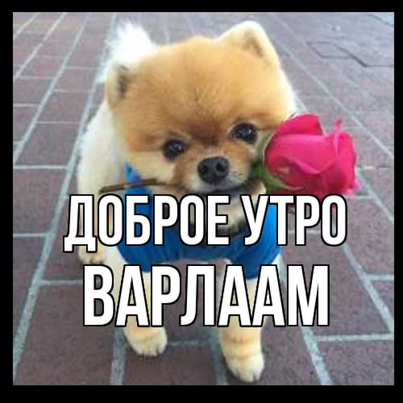 Картинка Доброе утро, Варлаам