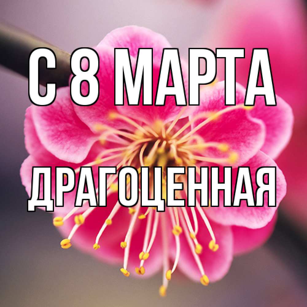 Открытка на каждый день с именем, Драгоценная C 8 МАРТА цветы Прикольная открытка с пожеланием онлайн скачать бесплатно 