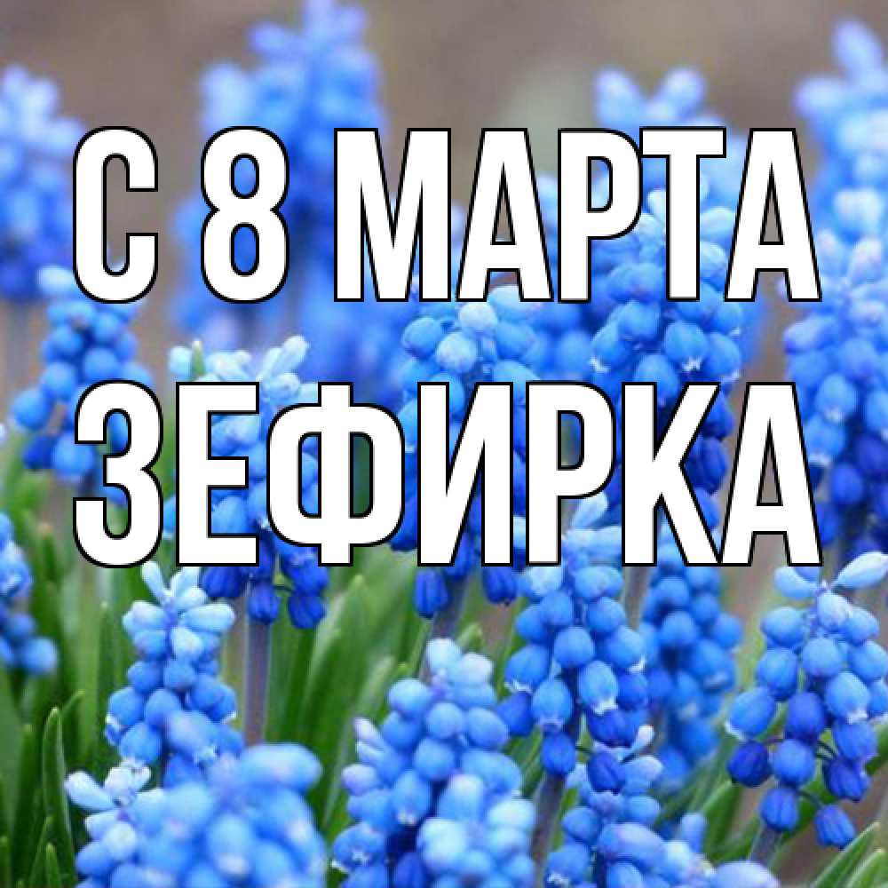 Открытка на каждый день с именем, зефирка C 8 МАРТА Поздравительная открытка для женщин с цветами на праздничную дату Прикольная открытка с пожеланием онлайн скачать бесплатно 