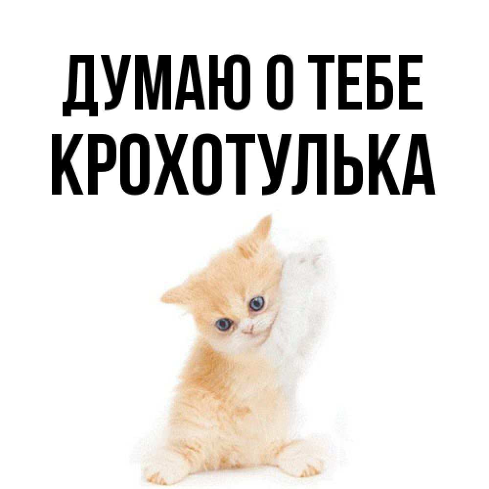 Открытка на каждый день с именем, крохотулька Думаю о тебе зверушки и милота Прикольная открытка с пожеланием онлайн скачать бесплатно 