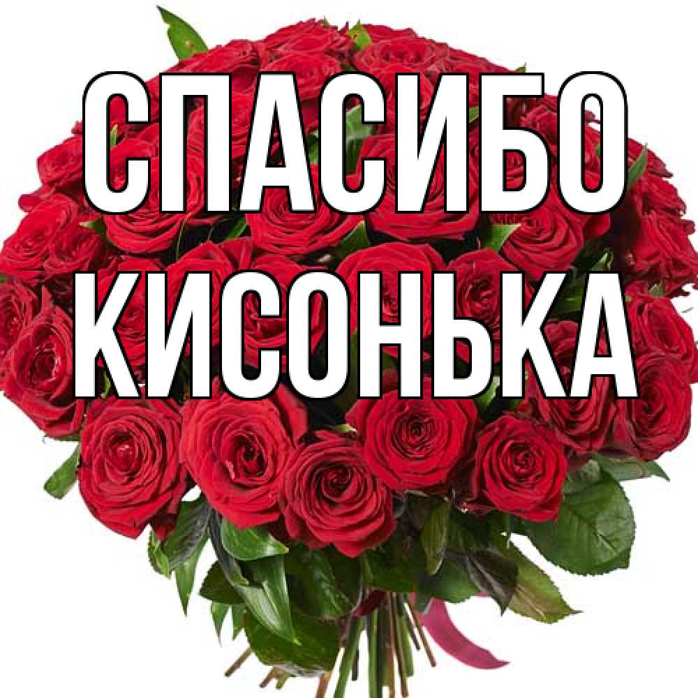 Открытка на каждый день с именем, Кисонька Спасибо букет красных роз Прикольная открытка с пожеланием онлайн скачать бесплатно 