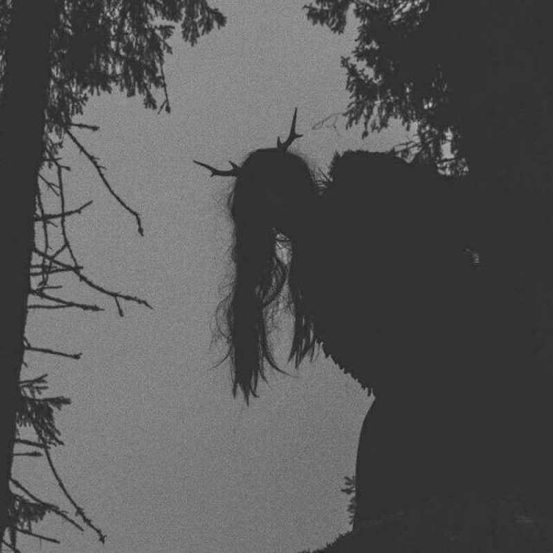 Картинка Не грусти, Тор