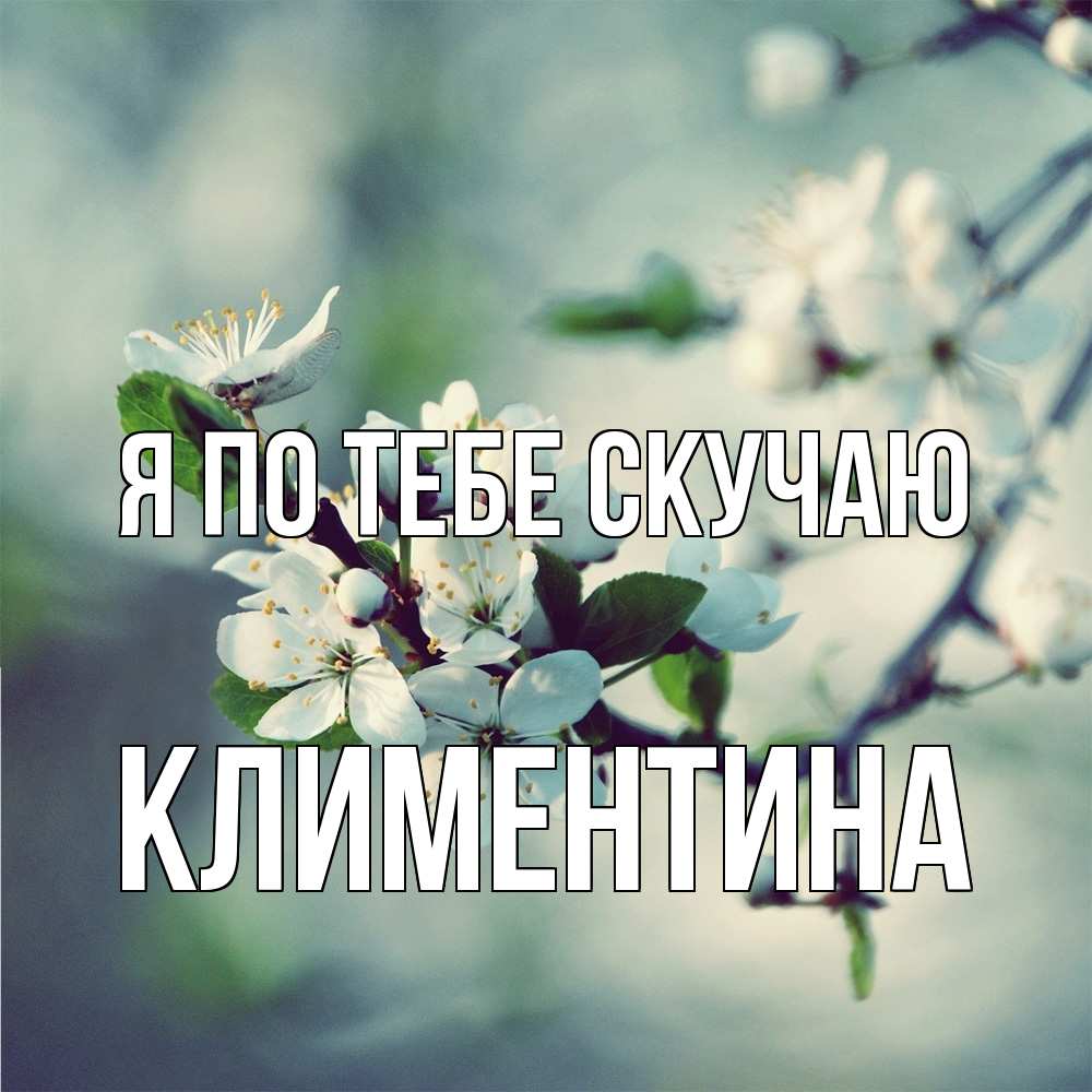 Открытка на каждый день с именем, Климентина Я по тебе скучаю весна Прикольная открытка с пожеланием онлайн скачать бесплатно 